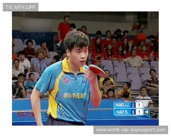 乒乓德甲俱乐部面临的商业难题与解决方案探讨，乒乓球德甲联赛