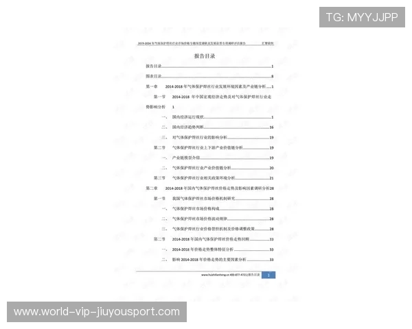 赛季中期表现评估报告 赛季中期表现评估报告